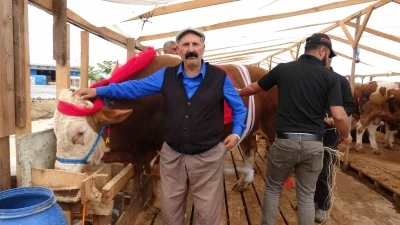 Bayram &ouml;ncesi "Baron" ve "Kral" Ataşehir&rsquo;de g&ouml;r&uuml;c&uuml;ye &ccedil;ıktı: "Şu anda rakibi yok, İstanbul&rsquo;da tek"
