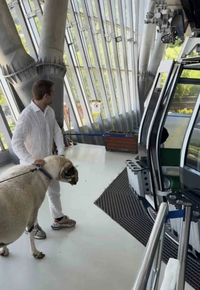 Bayramda keseceği ko&ccedil;la teleferik keyfi yaptı
