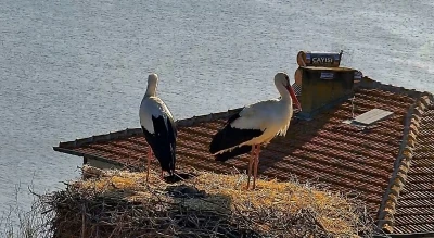 Beklenen buluşma ger&ccedil;ekleşti
