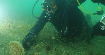 Belediye başkanı dalış yaptı, su altından m&uuml;jdeyle &ccedil;ıktı
