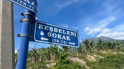 Belediye &ccedil;alışanlarından &ouml;rnek davranış: &Ccedil;&ouml;p konteynerinde &ouml;l&uuml;me terk edilen kaplumbağayı kurtardılar
