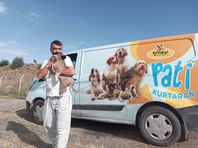 Belediye ekipleri nefes kesen operasyonla yavru köpeği kurtardı
