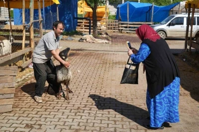 Besicilerin kurbanda da mesaisi s&uuml;r&uuml;yor
