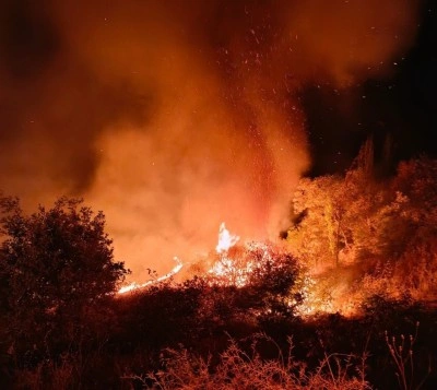 Besni’de 4 farklı noktada yangın