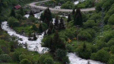 Beyaz &ouml;rt&uuml; kalktı, Rize yaylaları yeşile b&uuml;r&uuml;nd&uuml;
