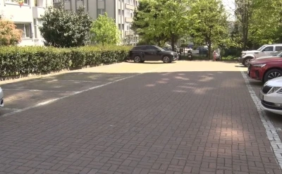Beylikd&uuml;z&uuml;&rsquo;nde başıboş k&ouml;pekler vatandaşı kovaladı
