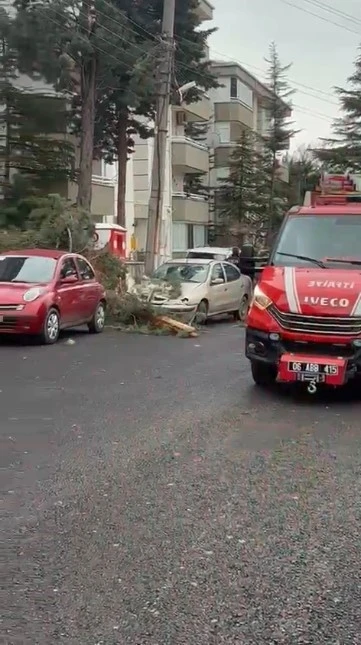Beypazarı&rsquo;nda fırtına ağa&ccedil;ları devirdi
