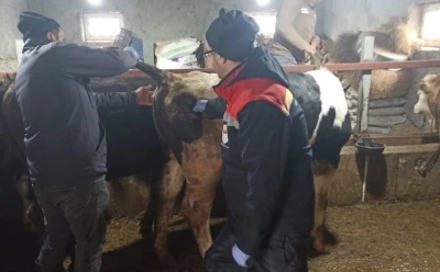 Beyşehir&rsquo;de şap ile m&uuml;cadelede &ccedil;alışmaları
