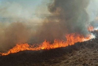 Beyşehir’de sazlıklar alev alev yandı
