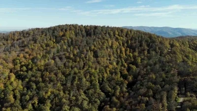 Biga’da sonbahar renklerine bürünen ormanlar havadan görüntülendi
