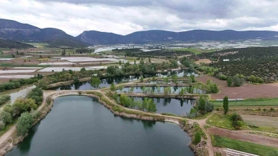 Bilecik’in ilk sulak alanı Beşgöller koruma altında
