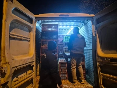 Bilecik&rsquo;te belgesiz hayvan sevkine 52 bin 720 TL ceza
