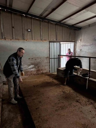 Bilecik&rsquo;te b&uuml;y&uuml;kbaş hayvancılık işletmelerinde kapasite kontrolleri
