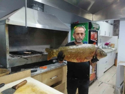 Bilecik&rsquo;te dev sazan balığı yakalandı
