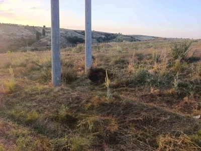 Bilecik&rsquo;te elektrik akımına kapılan kuş yangına sebep oldu
