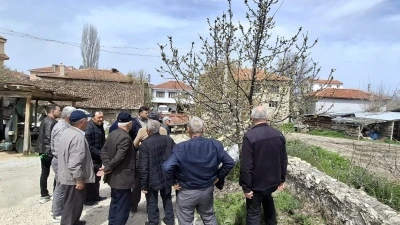 Bilecik&rsquo;te g&uuml;breleme ve budama eğitimi ger&ccedil;ekleştirildi
