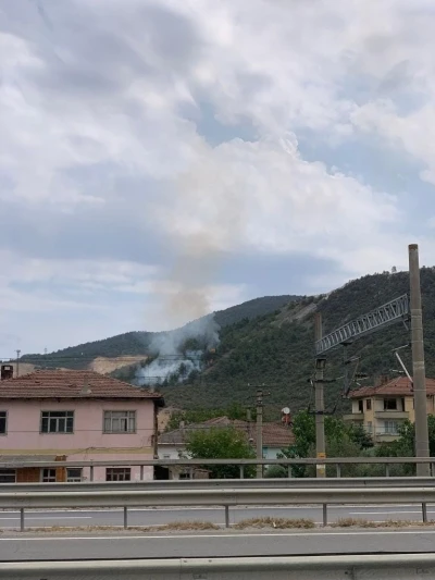 Bilecik’te orman yangını
