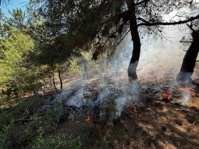 Bilecik&rsquo;te ormanlık alanda yangın &ccedil;ıktı
