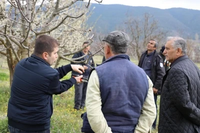Bilecik&rsquo;te &uuml;reticilere g&uuml;breleme ve budama kursu
