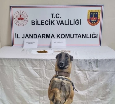 Bilecik&rsquo;te uyuşturucu operasyonu: 1 g&ouml;zaltı
