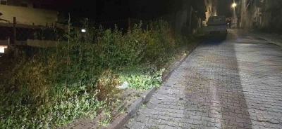 Bilecik&rsquo;te vatandaşlar otlardan kaldırımda y&uuml;r&uuml;yemiyor
