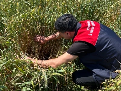 Bilin&ccedil;siz ila&ccedil; kullanmak hem &ccedil;evreye hem de ekonomiye zarar verir
