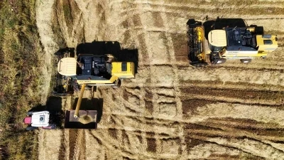 Bin dönümde yaklaşık 6 milyon lira maliyeti bulan tescilli Karacadağ pirincinde hasat zamanı
