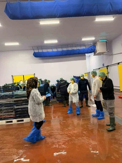 Bing&ouml;l&rsquo;de balık işleme tesisleri denetlendi
