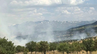 Bing&ouml;l&rsquo;de &ccedil;ıkan orman yangını b&uuml;y&uuml;meden kontrol altına alındı
