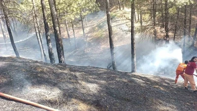Bingöl’de çıkan orman yangını büyümeden söndürüldü
