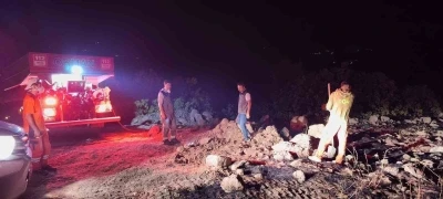 Bingöl’de çıkan orman yangınları kontrol altına alındı
