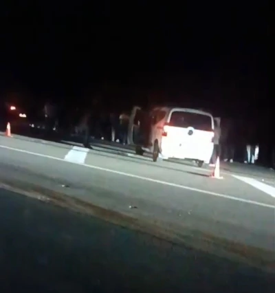 Bingöl’de hafif ticari araç ata çarptı: 1 ölü, 1 yaralı
