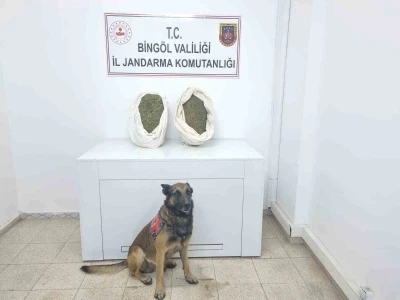 Bingöl’de jandarma ekipleri 10 kiloya yakın esrar ele geçirdi
