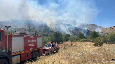 Bingöl’de köyde çıkan yangın ormana sıçradı, müdahale sürüyor
