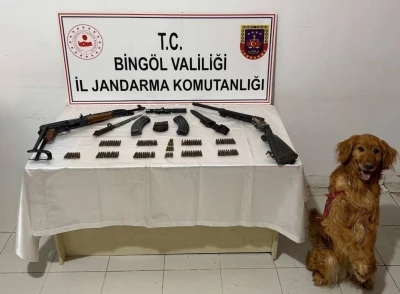 Bing&ouml;l&rsquo;de silah ve m&uuml;himmat ele ge&ccedil;irildi
