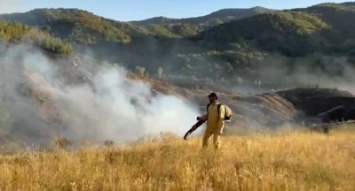 Bingöl’deki orman yangını kontrol altına alındı
