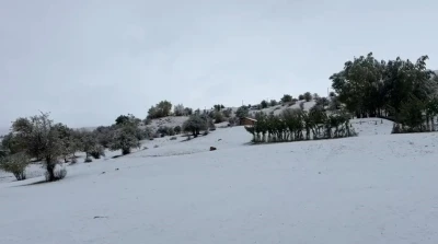 Bingöl’ün yüksek kesimlerine mevsimin ilk karı yağdı
