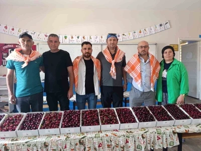 Binlerce insan Kiraz Festivali i&ccedil;in B&ouml;rez&rsquo;e akın etti

