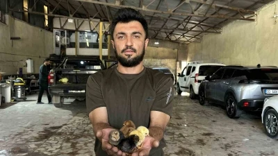 Bir belgesel izledi, hayatı değişti: Oto yıkama d&uuml;kkanından tavuk&ccedil;uluk fabrikasına uzanan azim hikayesi
