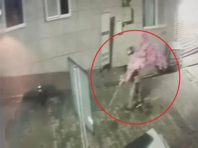 &lsquo;Bir kafeden daha fazlası&rsquo; yazısını fark etti, ağacı sırtlayıp gitti O anlar kamerada
