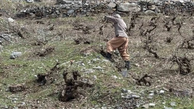 Bir yanda karla m&uuml;cadele, diğer yanda budama &ccedil;alışmaları s&uuml;r&uuml;yor
