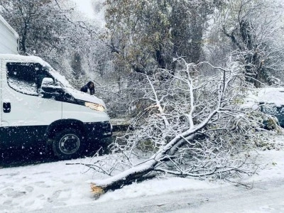 Birecik&rsquo;te karın ağırlığına dayanamayan ağa&ccedil; dalları ara&ccedil;ların &uuml;zerine devrildi