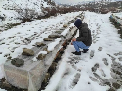 Birincilik getiren arılarını kış şartlarında &ouml;zenle koruyor
