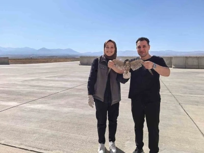 Bitkin halde bulunan yaralı Delice Doğan tedavi altına alındı
