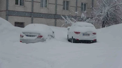 Bitlis&rsquo;te 111 k&ouml;y yolu ulaşıma kapandı
