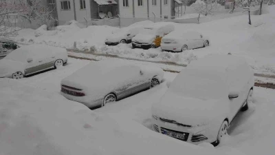 Bitlis&rsquo;te 165 k&ouml;y yolu kardan kapandı
