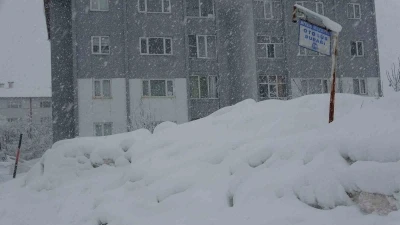 Bitlis&rsquo;te 304 k&ouml;y yolu kar nedeniyle ulaşıma kapandı

