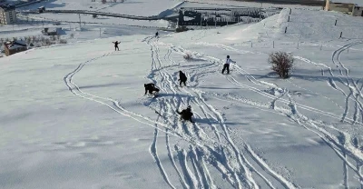 Bitlis&rsquo;te adrenalin tutkusu tehlikeye davetiye &ccedil;ıkardı

