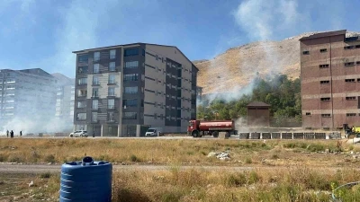 Bitlis’te çıkan yangın ağaçlara zarar verdi

