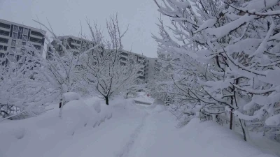 Bitlis&rsquo;te kar esareti, 229 k&ouml;y yolu ulaşıma kapalı
